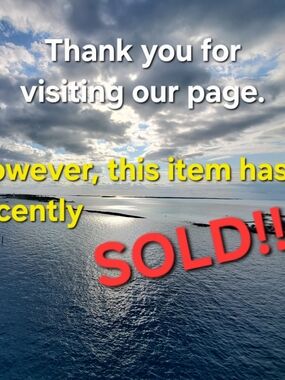 Coldwater Creek Straight Leg Classic Fit Tan Jeans - Size P8